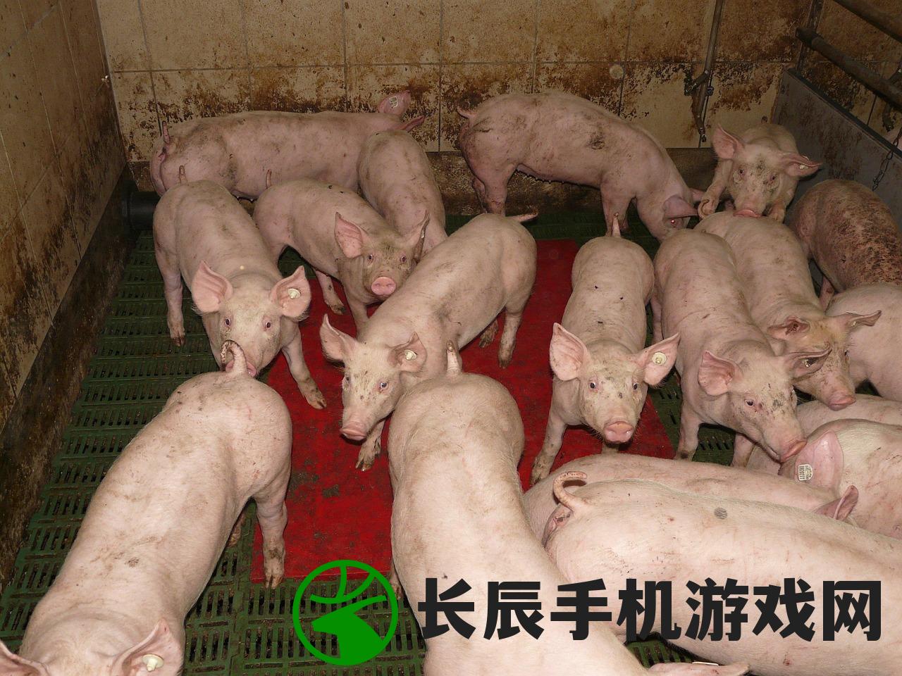 (毒杀宠物狗犯法吗)毒杀宠物行为或将面临有期徒刑，法律专家解读相关法规