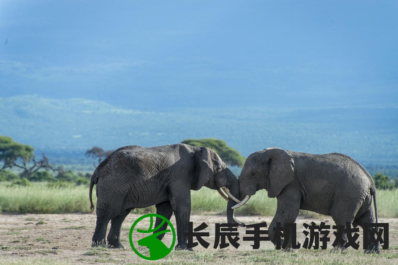 (变异动物园2下载)变异动物园2，探索未知生物的新篇章