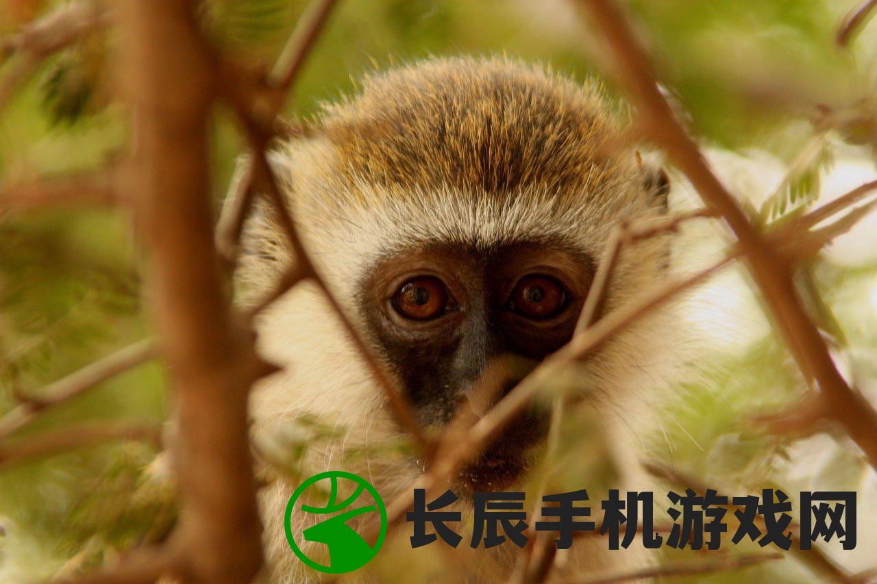 (变异动物园2下载)变异动物园2，探索未知生物的新篇章