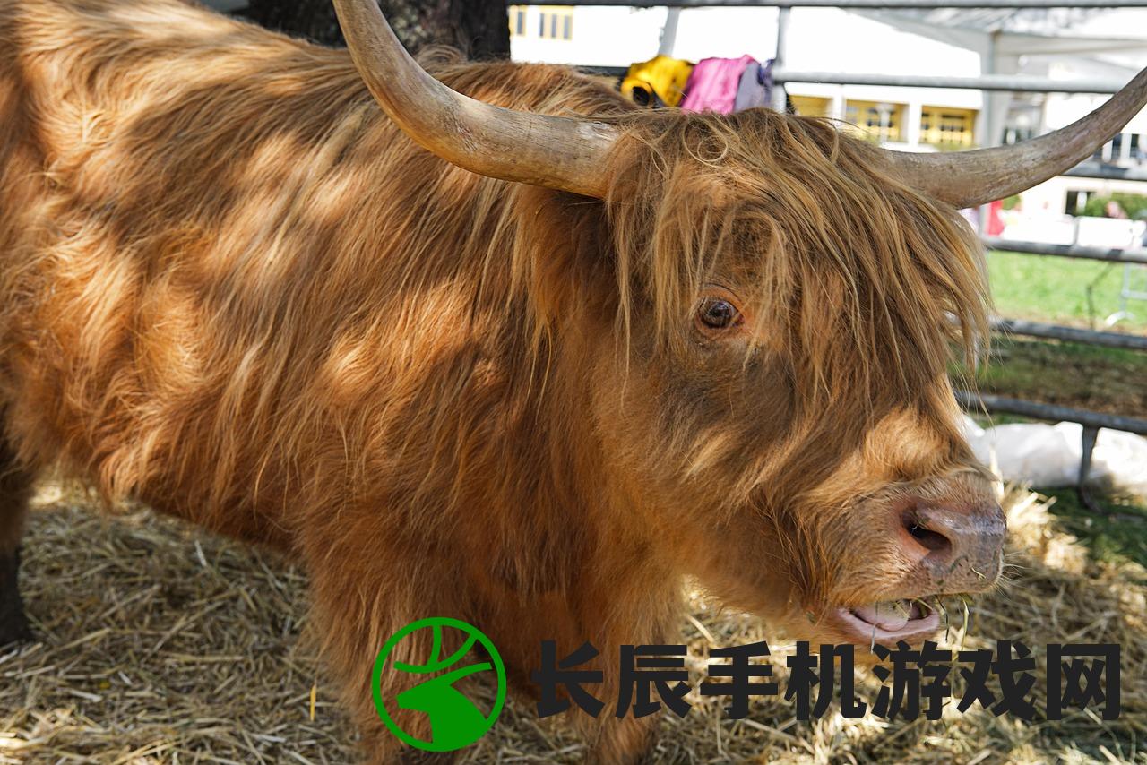 (封灵档案lsp)封灵档案中文版，深入解读与常见问题解答