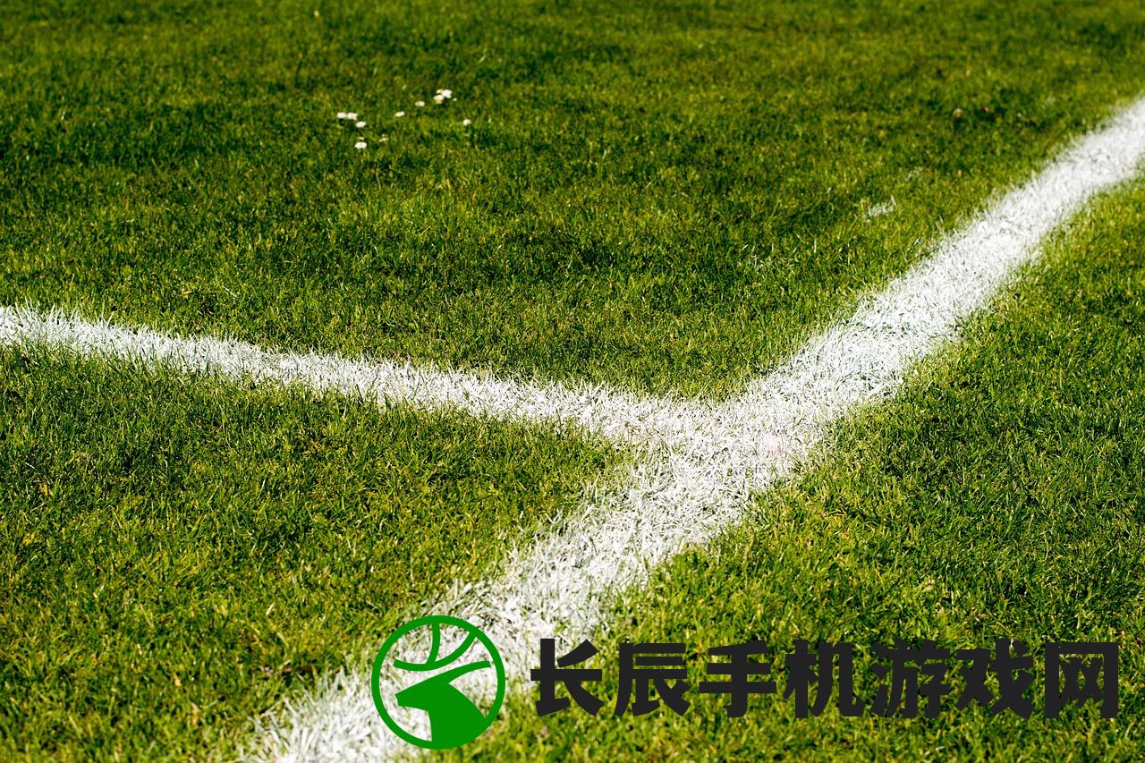 (沙特踢德国)德国支持沙特举办世界杯，背后的意义与影响