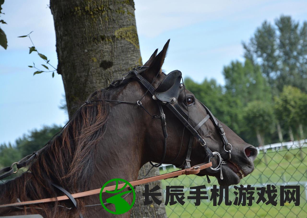 (《山海经》异兽)山海经异兽还原，探寻神秘异兽的奥秘