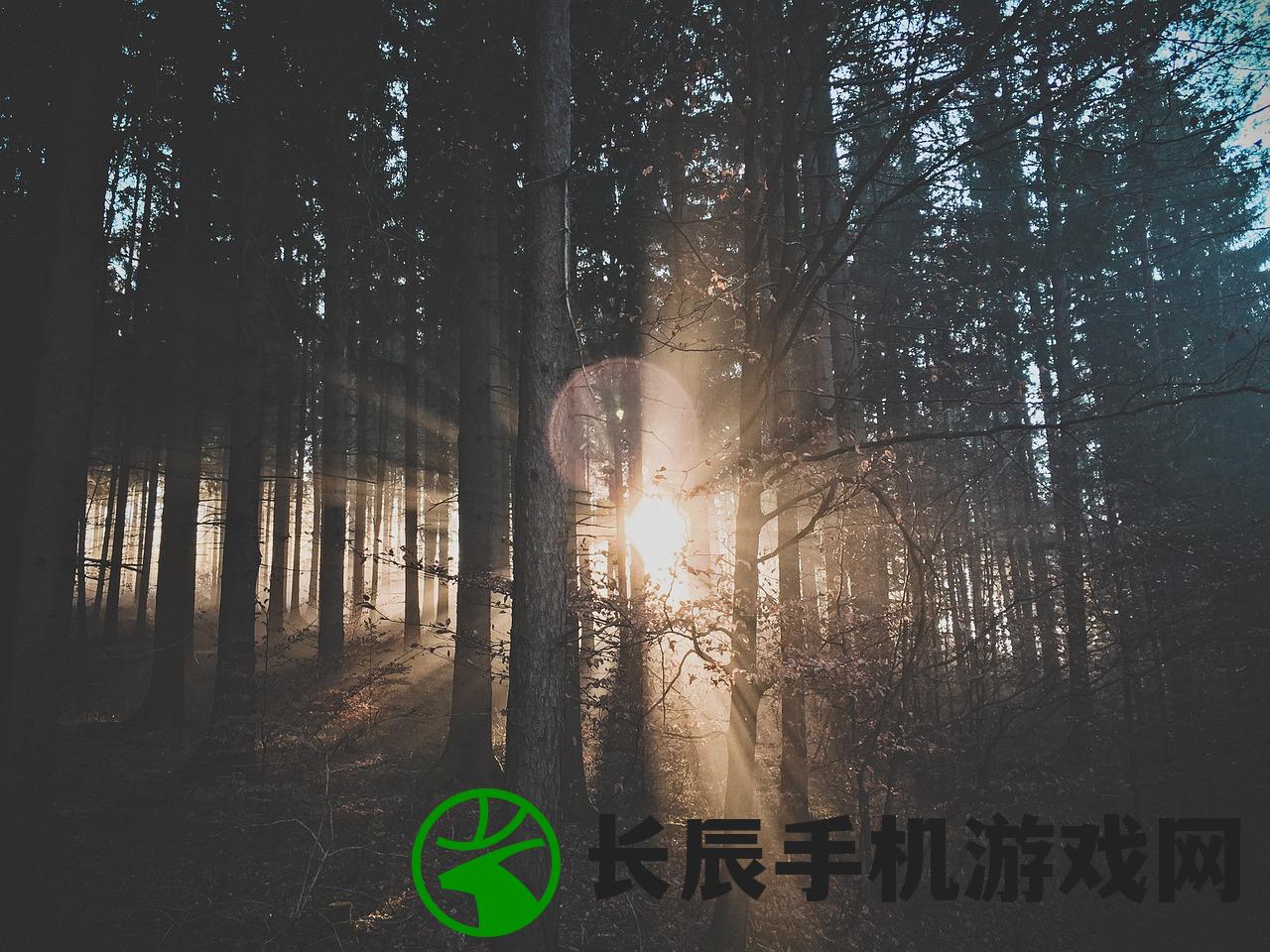 (如梦下半场)如梦下弦月为何下架，深度探究原因与多元分析