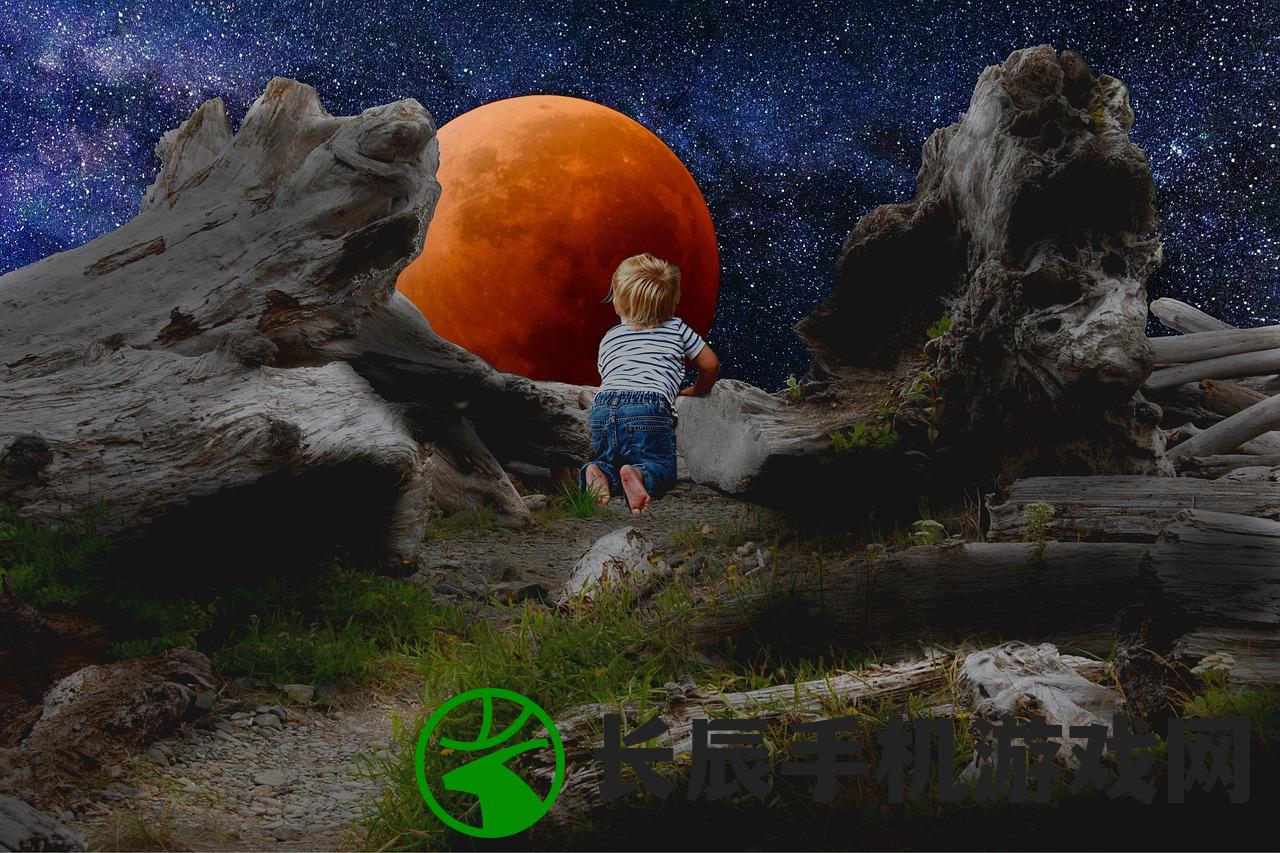 (奇迹刺客辅助多少钱)奇迹刺客的辅助力量，重塑战场平衡的关键角色