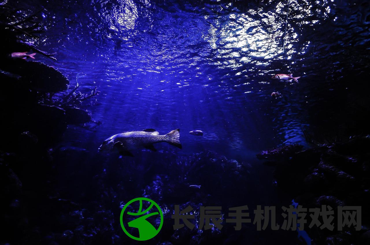 (代号sea)代号海所属公司揭秘，深度探究背后的神秘力量