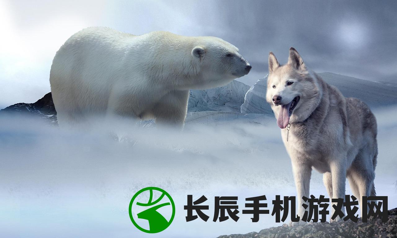 (宠兽争斗原来叫什么)宠兽争斗，新时代下的命名与变迁