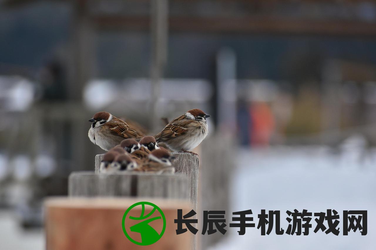 (愤怒的小鸟季节版解锁神鹰下载)揭秘愤怒的小鸟季节版解锁秘籍