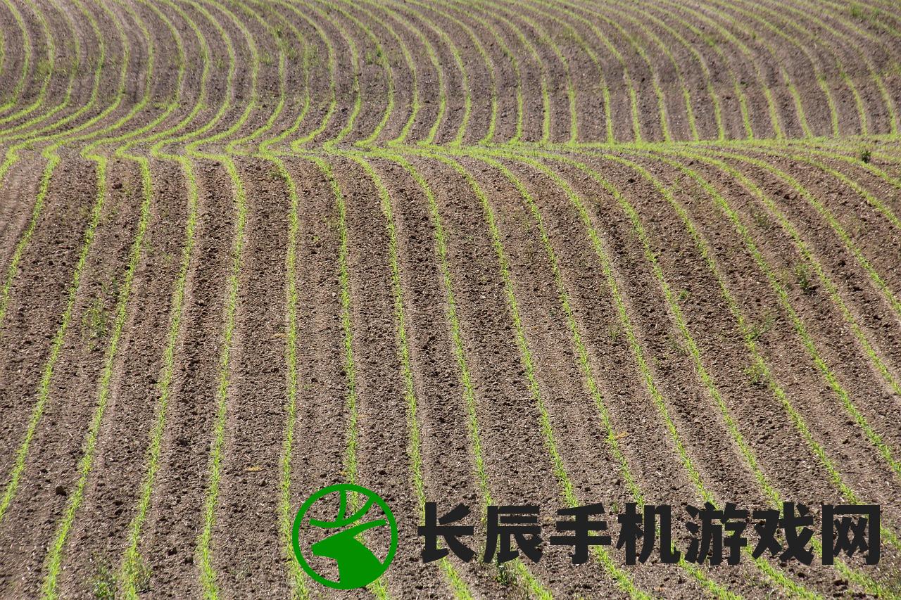 (雁丘陵游戏)雁丘陵官方，历史背景与现代发展分析