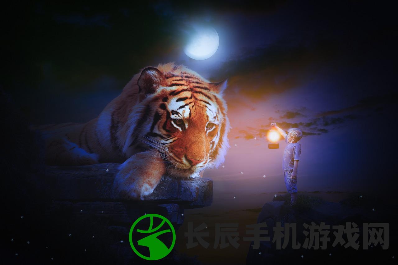 (传奇小蜘蛛的攻略和玩法图解)传奇小蜘蛛的全面攻略与玩法详解