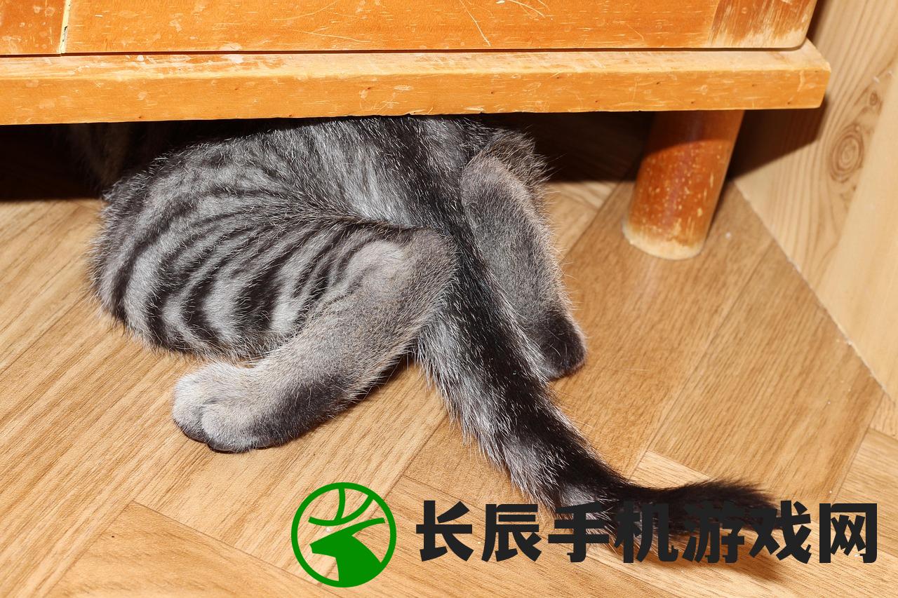 (萌猫消消看)萌猫爱消除，一场治愈系消除游戏与萌猫的不解之缘