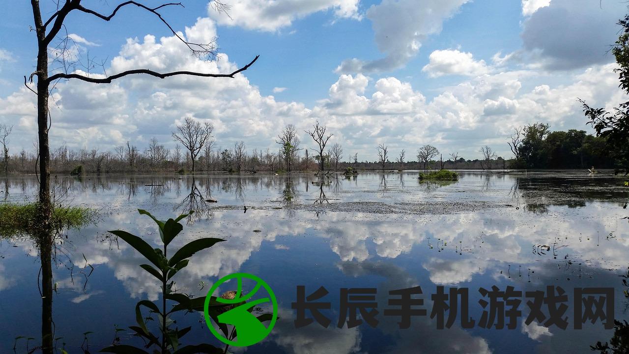 (大唐烟雨梦游戏苹果版)大唐烟雨梦游戏，历史与幻想的交织