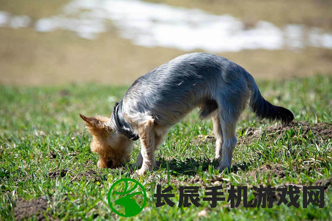 (萌宠养成物语qq群在哪)萌宠养成物语QQ群，探索宠物世界的乐园