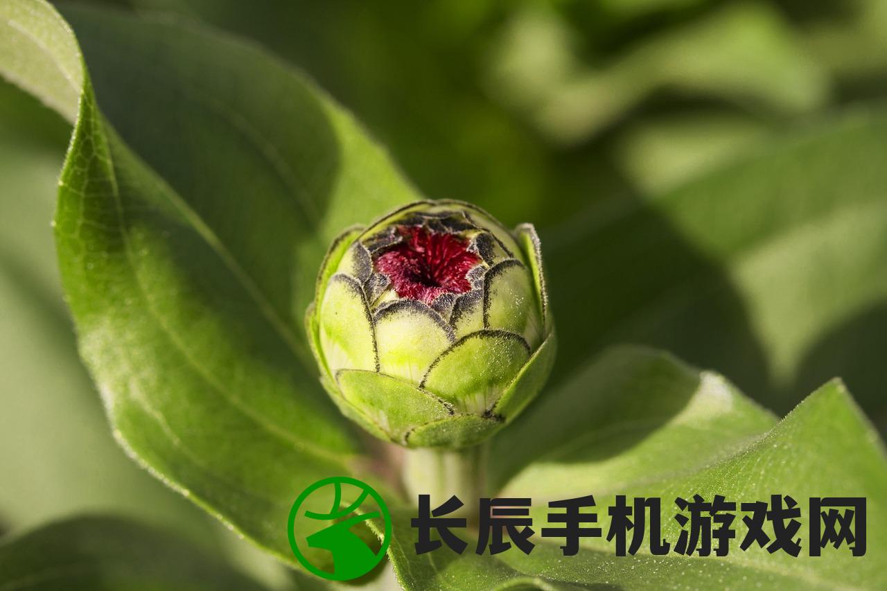 (花朵拼贴画简单图片)花朵拼拼游戏关卡数量解析