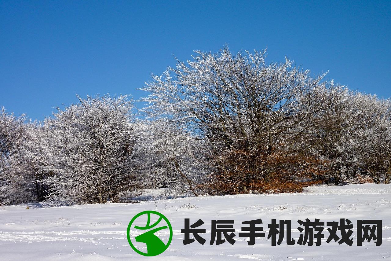 (甘肃43个县区出现降雪!)甘肃大范围降雪，43个县区雪花纷飞，影响分析与常见问题解答