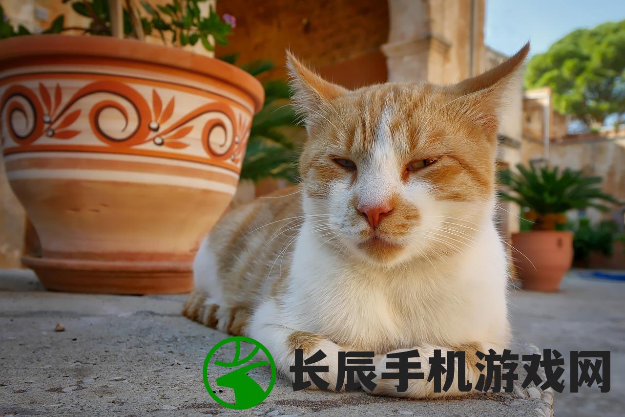 (猫咪作家游戏有哪些)猫咪作家游戏，探索猫与创作的奇妙世界