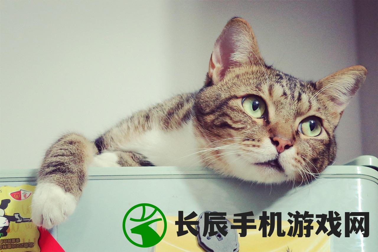 (猫咪作家游戏有哪些)猫咪作家游戏，探索猫与创作的奇妙世界