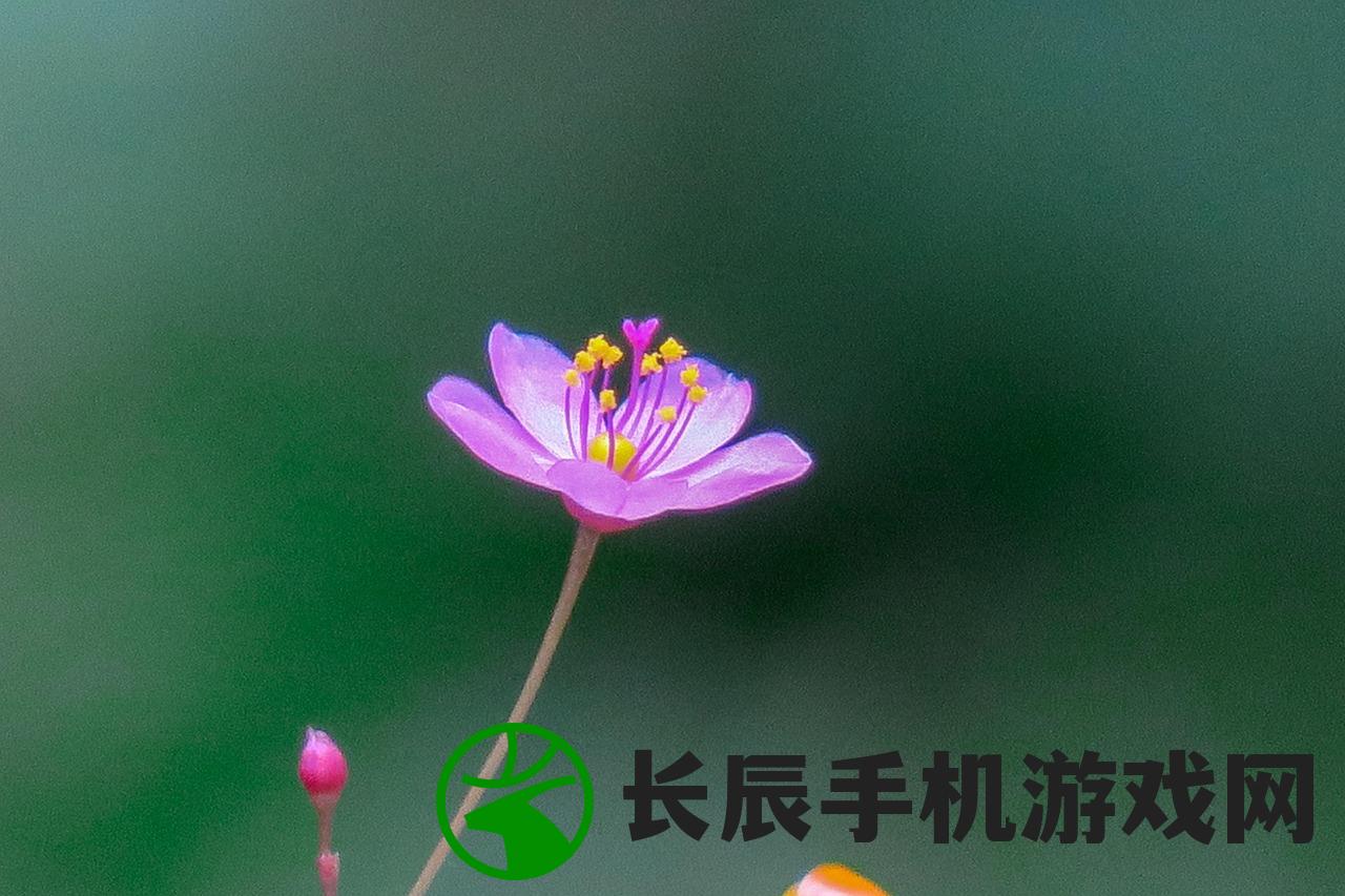 (黄粱一梦终须醒 镜花水月一场空谁写的)黄粱一梦终须醒，镜花水月一场空——人生虚幻与觉醒之路的探讨