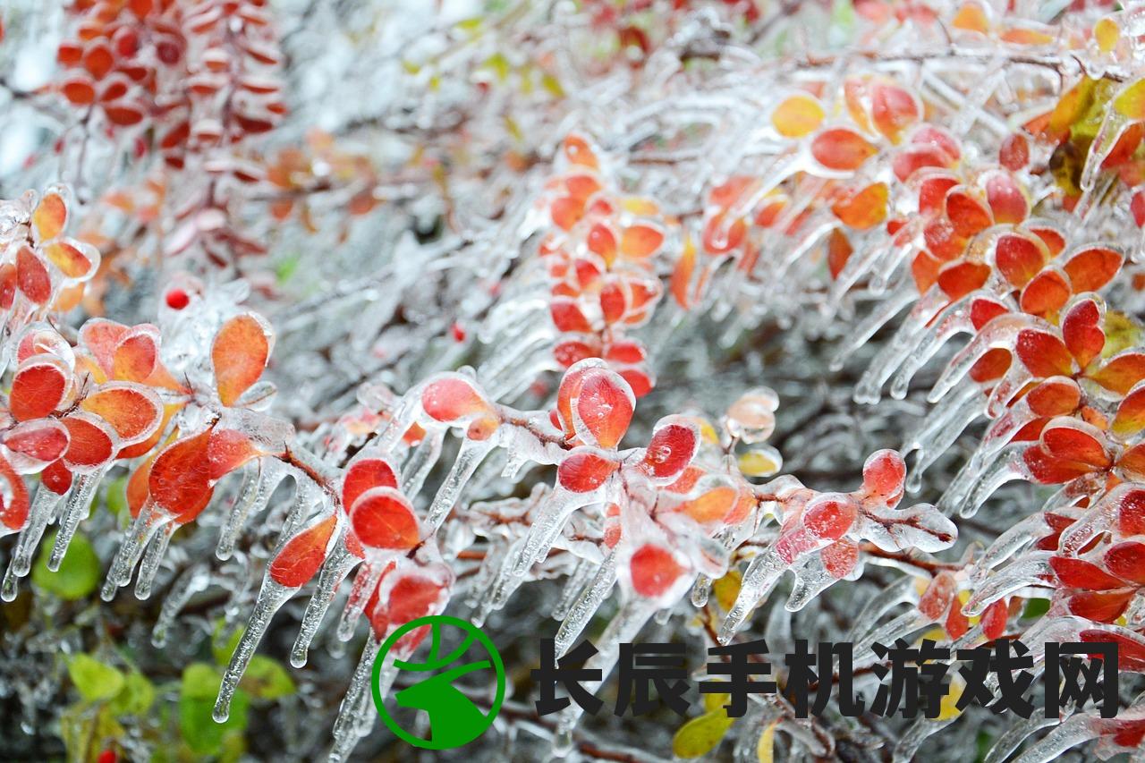 (黄粱一梦终须醒 镜花水月一场空谁写的)黄粱一梦终须醒，镜花水月一场空——人生虚幻与觉醒之路的探讨