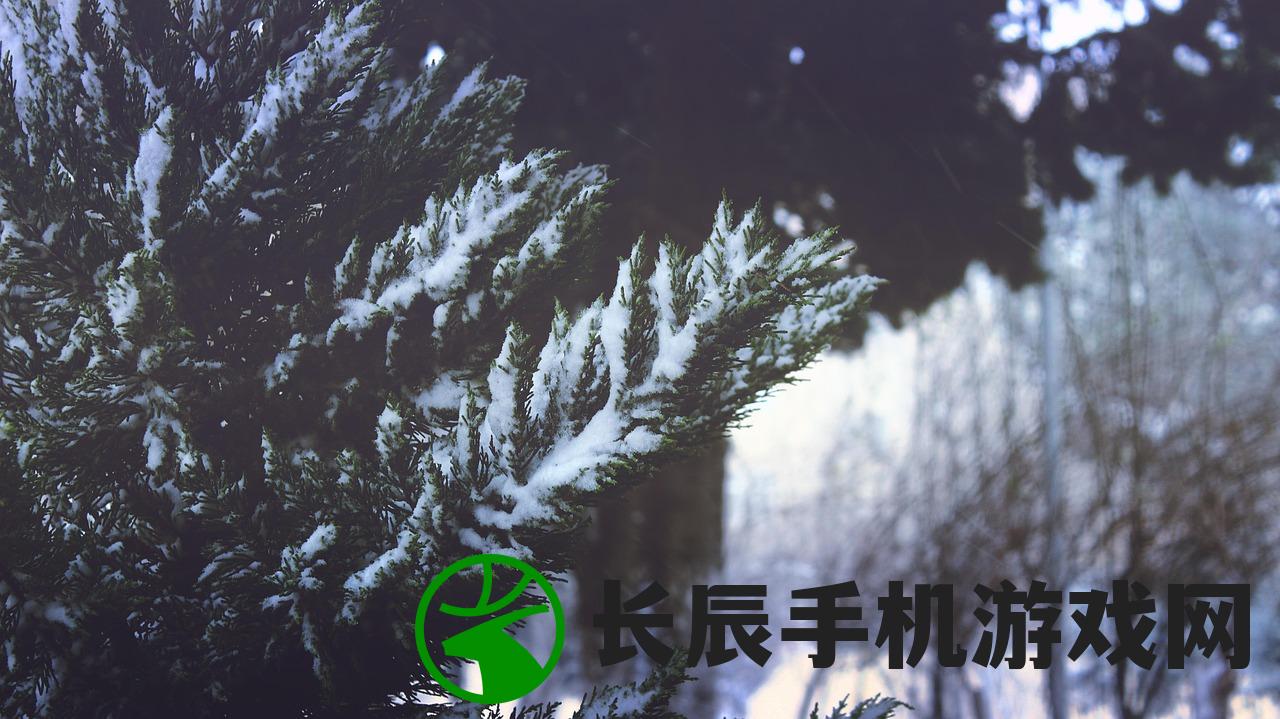 (滑雪大冒险攻略完整版视频)滑雪大冒险攻略完整版，从入门到精通