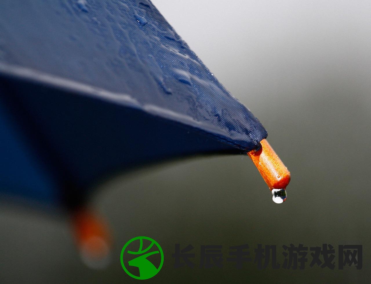 (记忆雨伞)记忆雨的奥秘与影响，一场关于记忆深处的探索