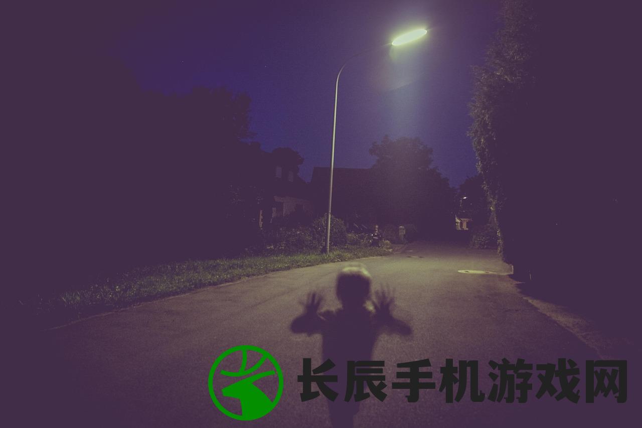 (夜幕触发)夜幕行动下的原神探险，神秘世界的秘密探索