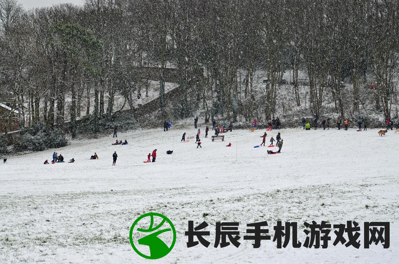 (冰雪单职业福利版攻略)冰雪单职业福利，享受冬季的独特优势与挑战