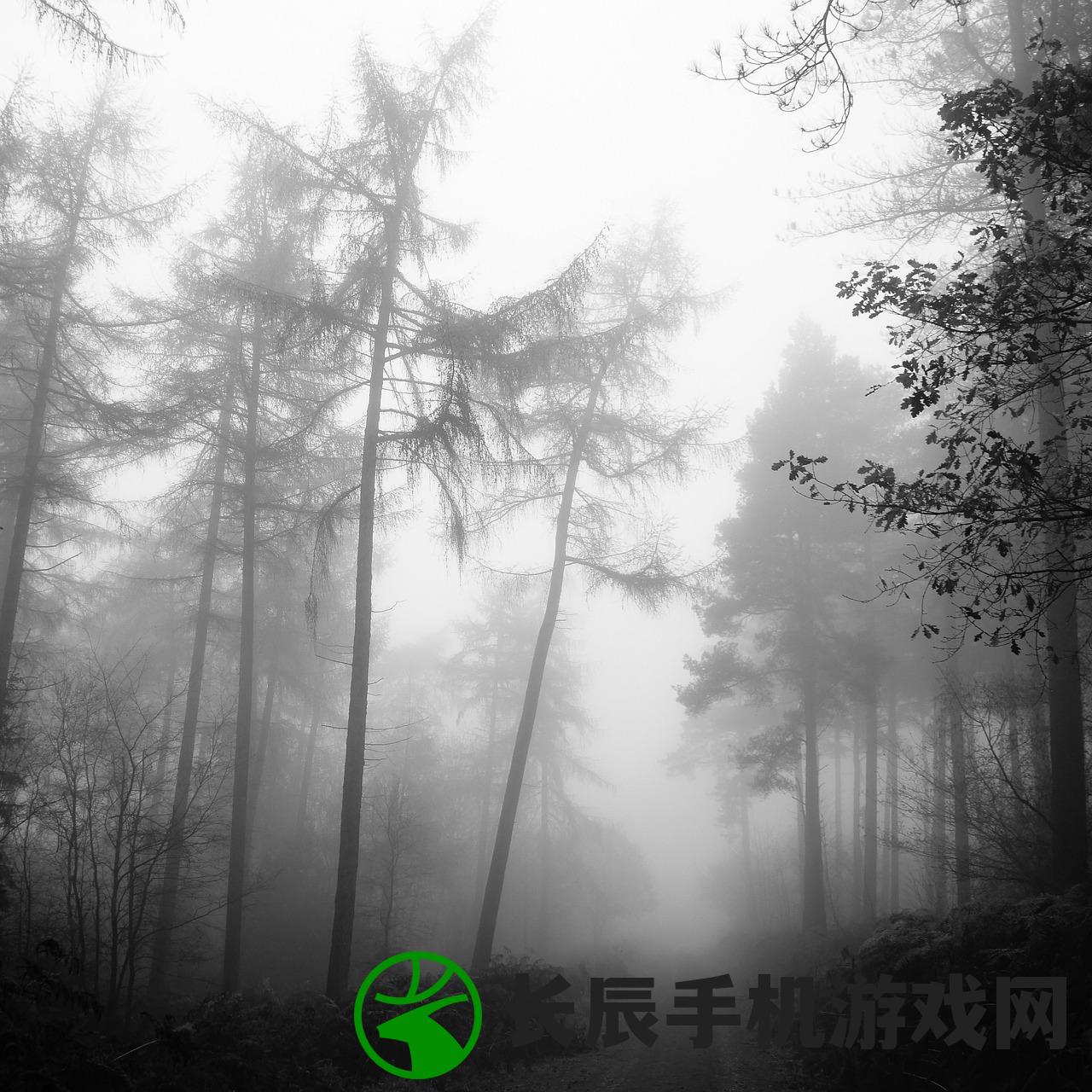 (墨武江山手游攻略)墨武江山手游安版，探索江山，领略武侠魅力