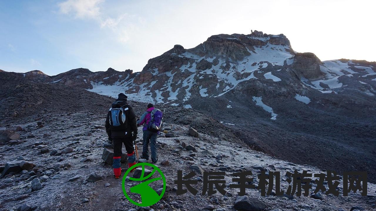 (召唤荒野)荒原召唤游戏，探索未知世界的冒险之旅