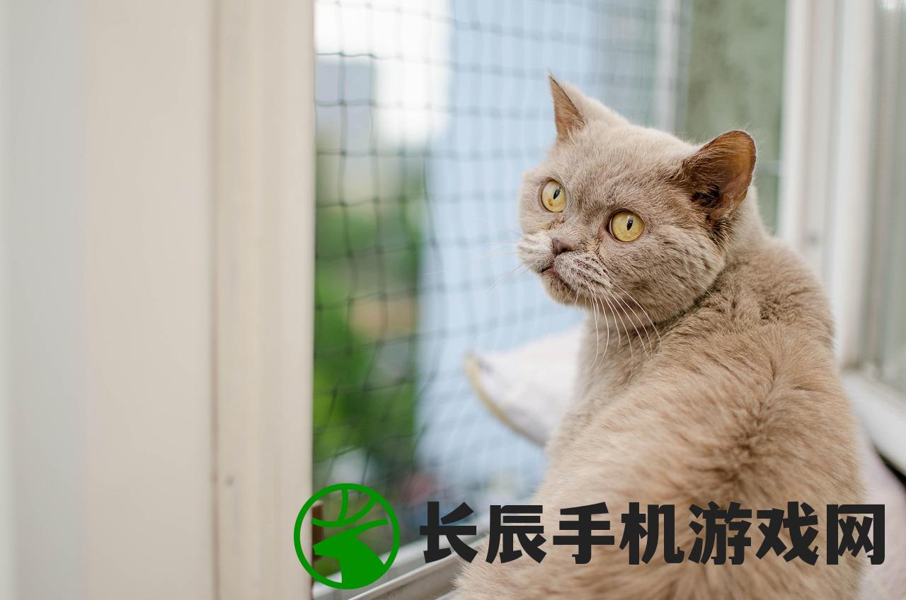 (丛林大乱斗下载安装)猫宅97，丛林大乱斗——一场别开生面的冒险之旅