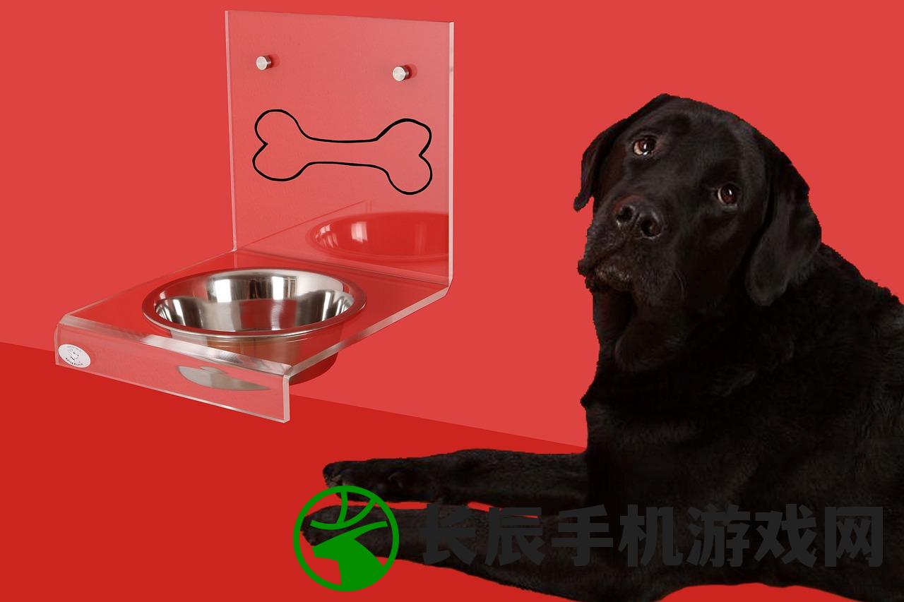 (狗狗逆反)狗的逆反心理，理解并应对犬类行为中的挑战