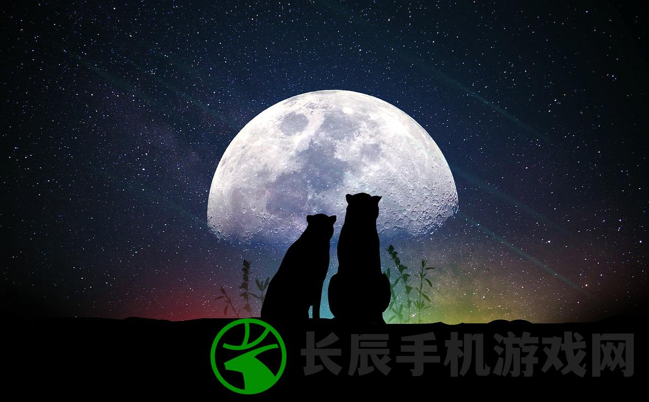 (次元星计划在线观看)次元星计划，探索虚拟世界的无限可能