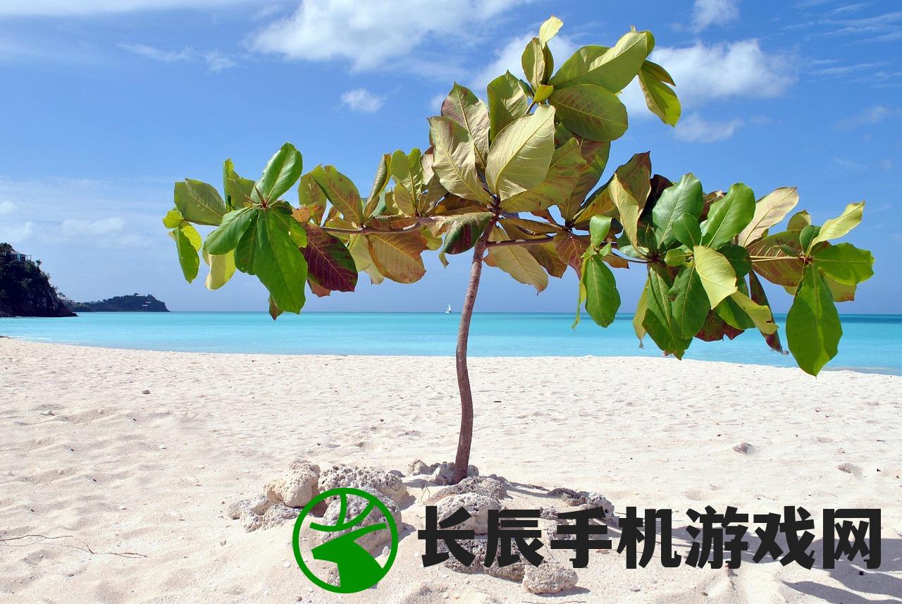 (植物保卫战2玩不了吗怎么办)植物保卫战2无法游玩的问题解析与解决策略