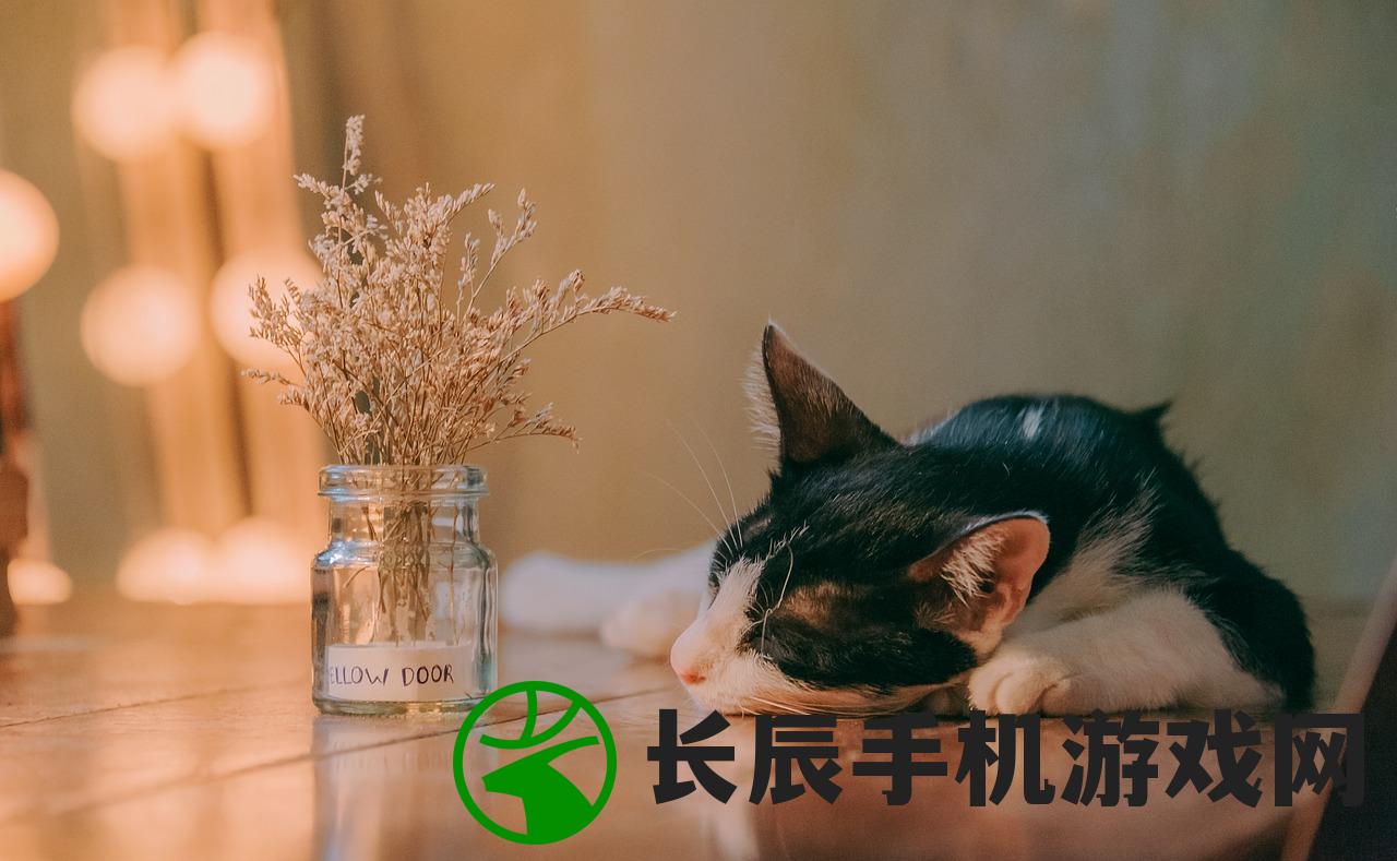 (猫咪田园图鉴大全)猫咪田园图鉴，探索猫咪的世界与奥秘