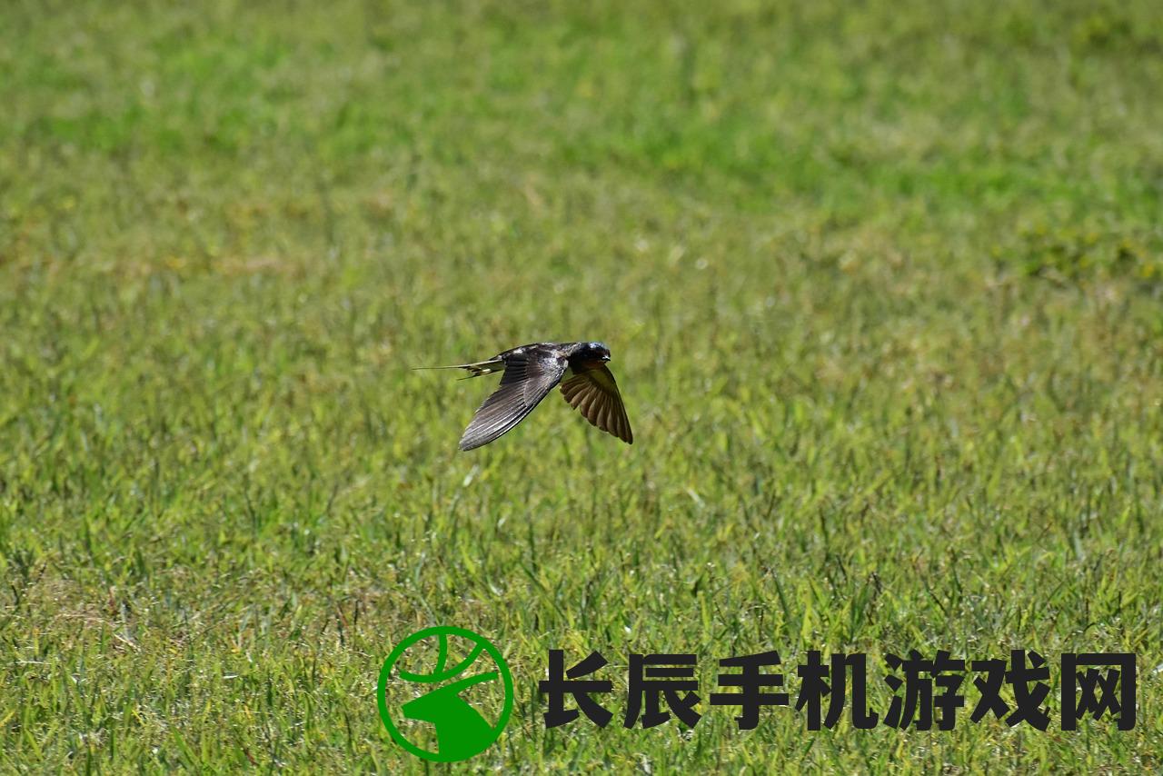 (鹰击长空游戏视频大全)鹰击长空游戏视频，翱翔于虚拟世界的极致体验