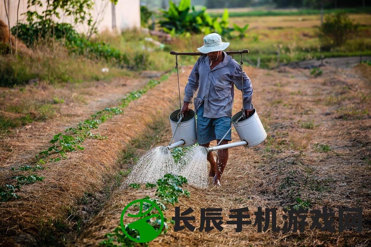 (荒野种田记免费阅读)荒野种田领主，农业大亨的崛起之路