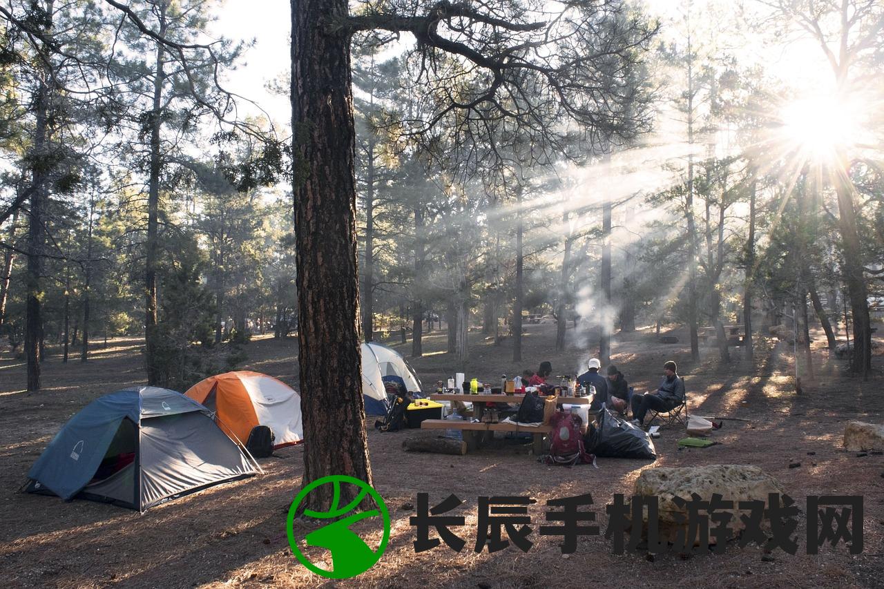 (幸存者方舟攻略视频)幸存者方舟攻略大全，探索生存之旅的必备指南