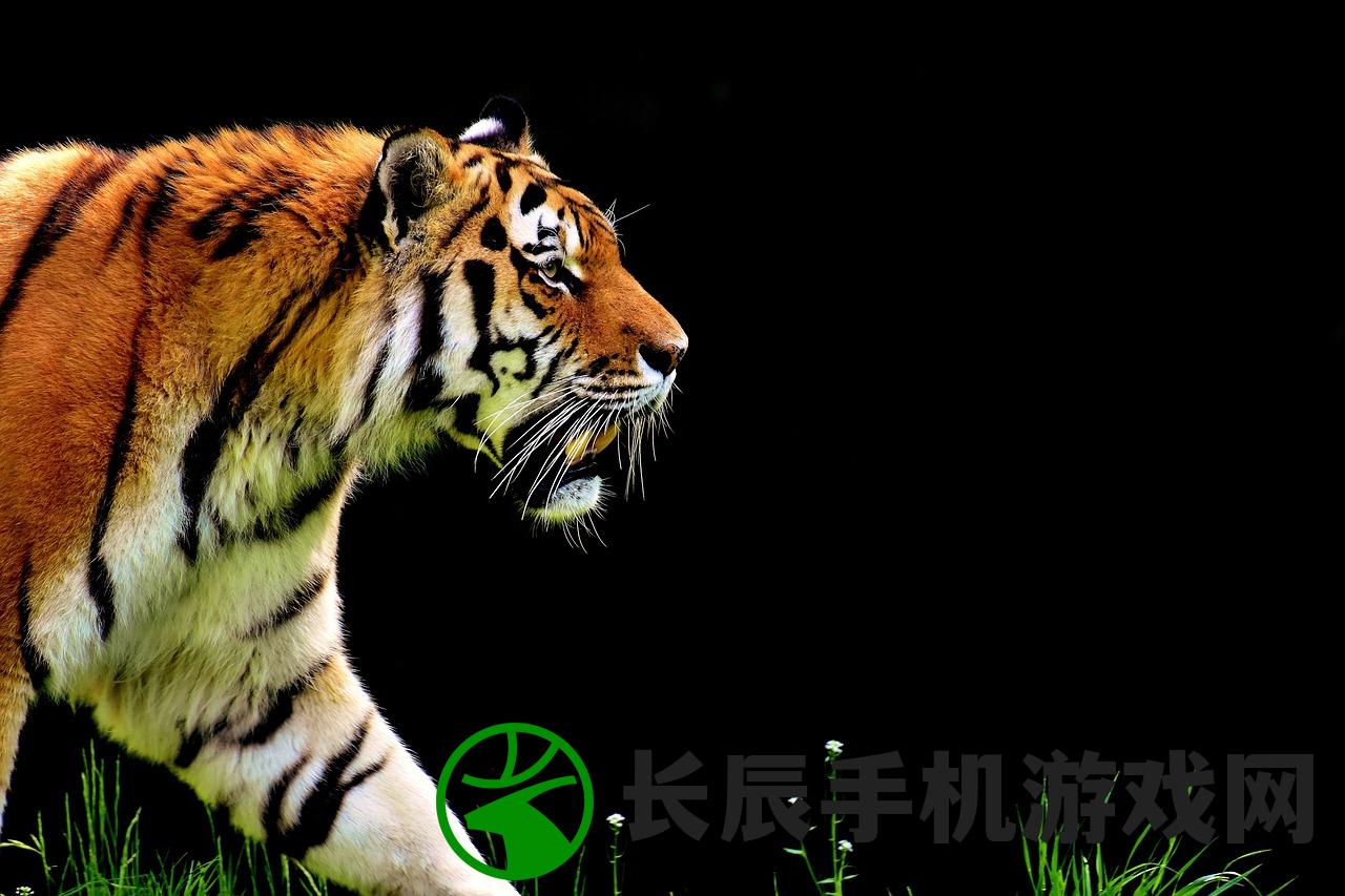 (魔兽世界猎人升级用什么宠物)魔兽世界1.12猎人升级宠物推荐攻略