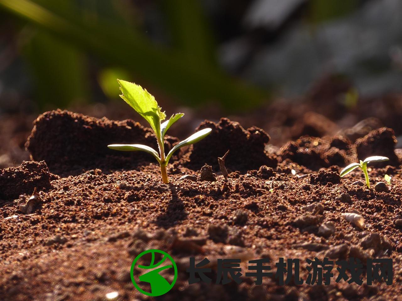 (向生活往第2季免费高清流畅)向生活第二季，免费高清观看指南及深度解析