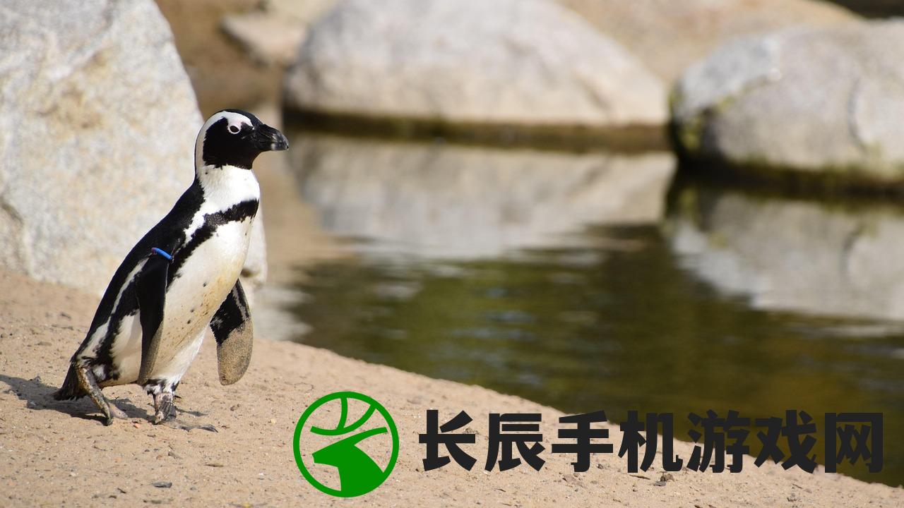 (企鹅卧底的纪录片中文版下载)揭秘企鹅卧底，一部深入南极的纪录片中文版