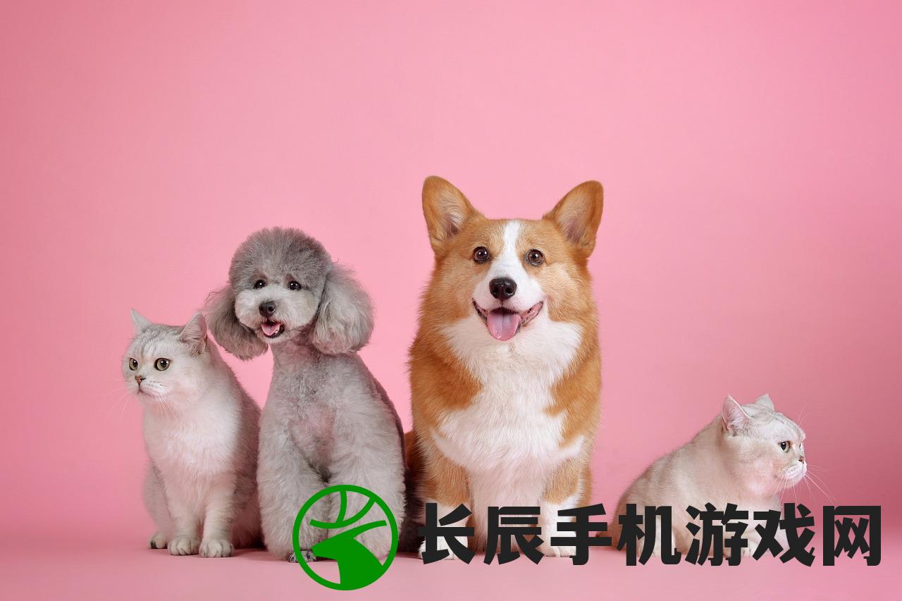 (电脑壁纸图片大全高清可爱动物)电脑壁纸图片大全高清可爱，精选壁纸让你的桌面充满活力