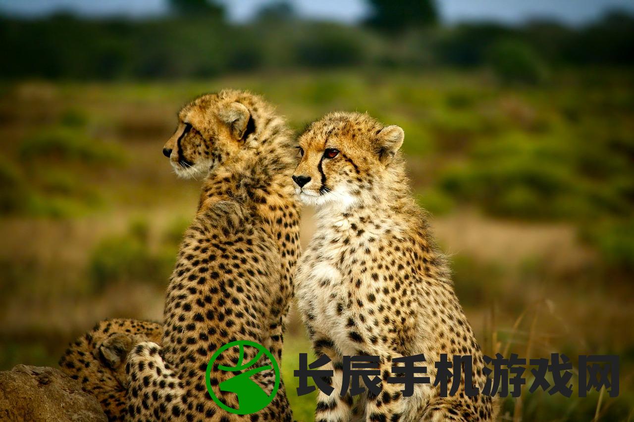 (逃离动物岛白猫番外攻略)逃离动物岛，昆虫精华的秘密探索