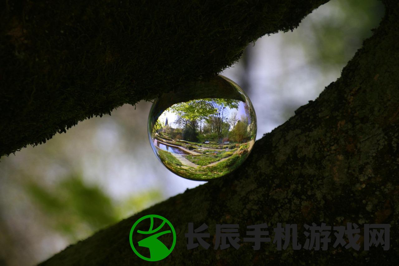 (我想看看跳跳鱼世界)跳跳鱼世界之苍蝇，探索与揭秘