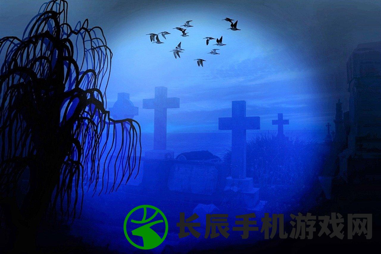 (黑白之丘)黑白之地游戏攻略，玩转黑白之地的秘诀与策略