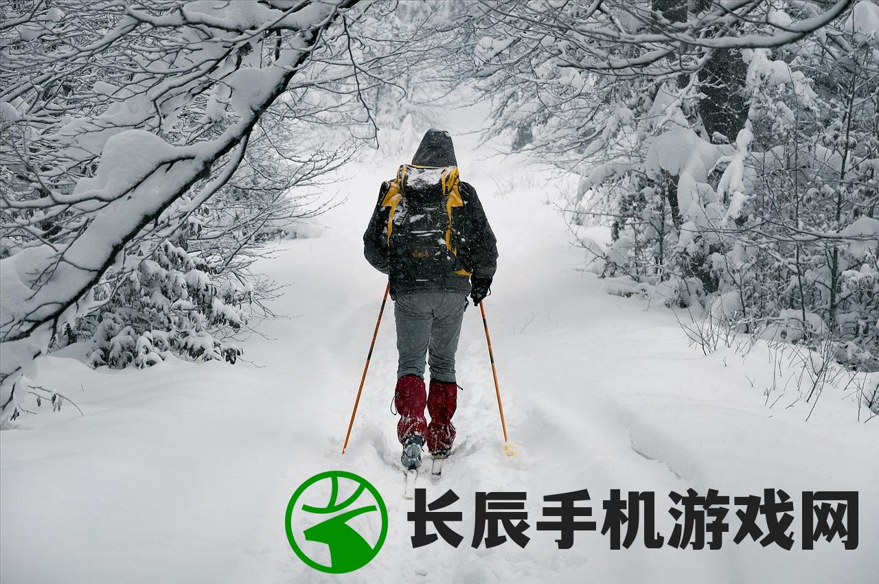 (雪中悍刀行听书完整版免费)雪中悍刀行听书，一场江湖风云的听觉盛宴