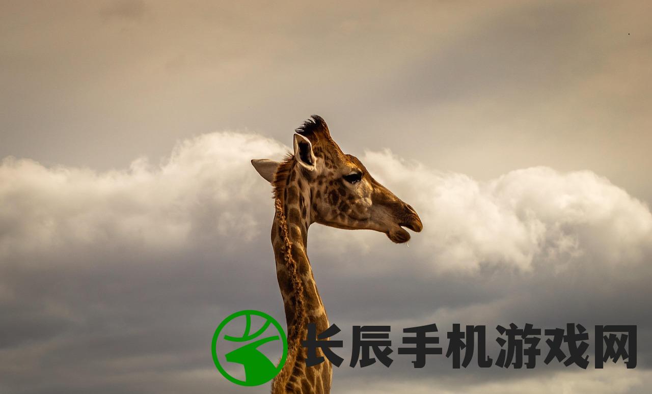 (梦幻动物园动画片-10)梦幻动物园的奇幻之旅，一部引人入胜的动画片