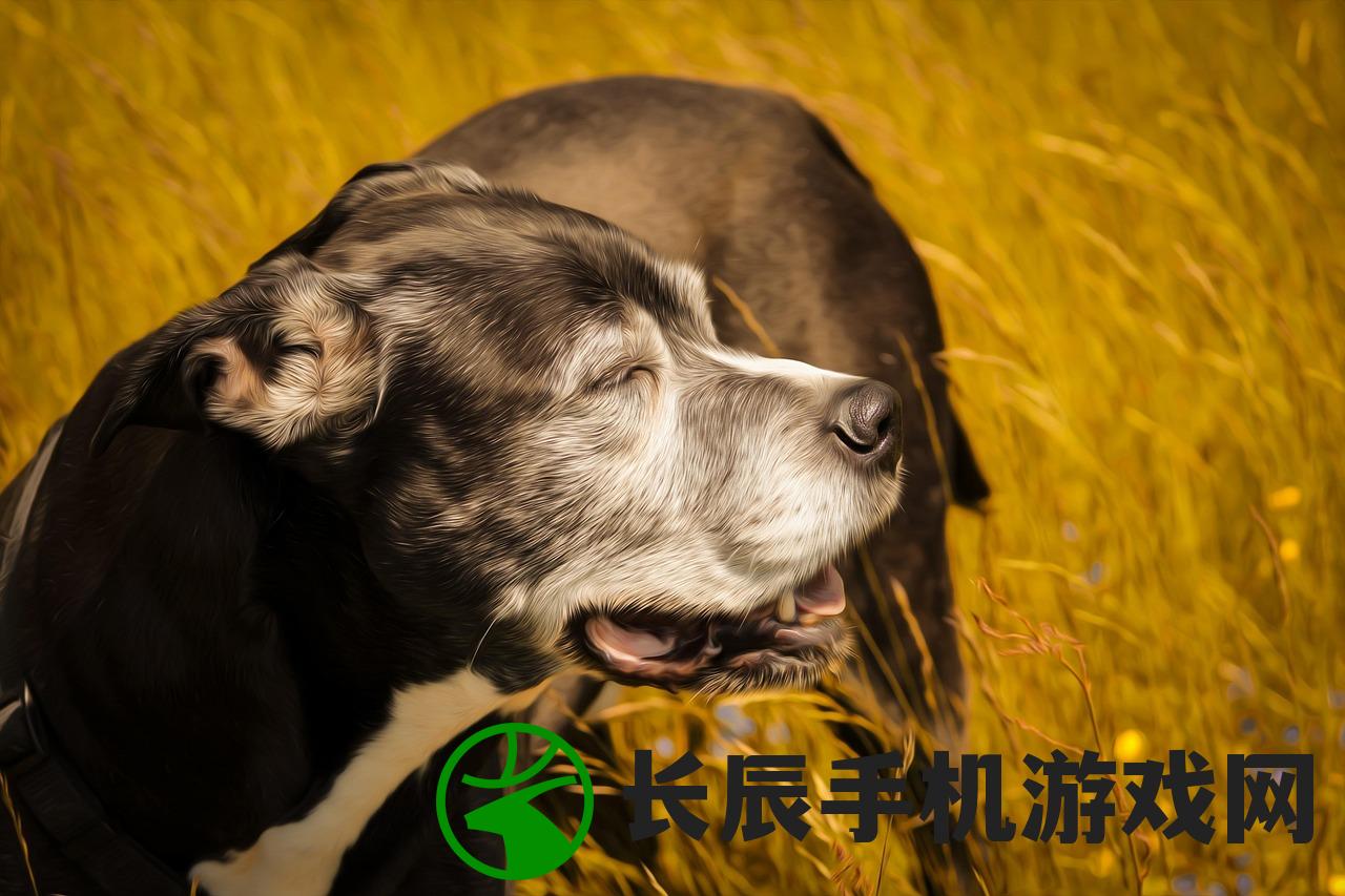 (开心猫舍游戏猫薄荷怎么用)开心猫舍游戏，乐趣无穷的宠物养成之旅