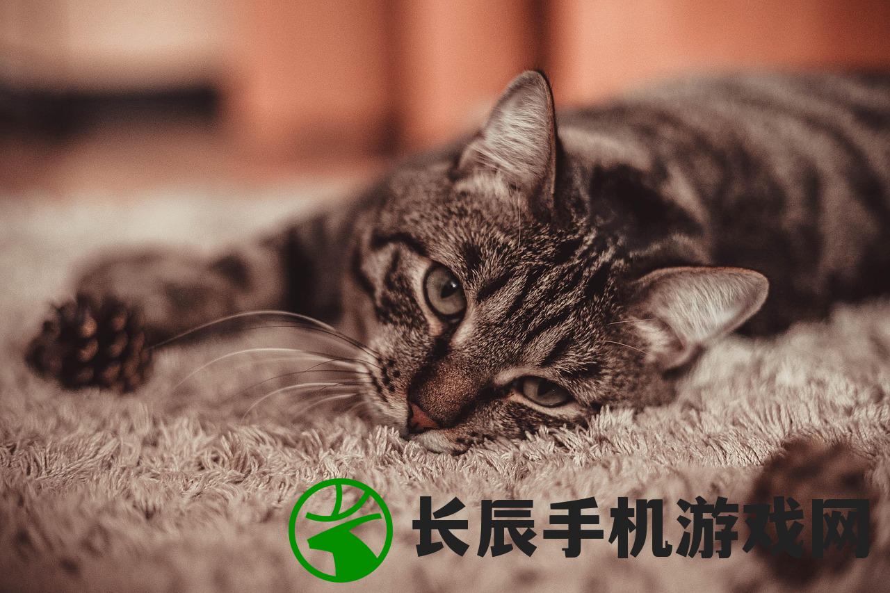 (开心猫舍游戏猫薄荷怎么用)开心猫舍游戏，乐趣无穷的宠物养成之旅