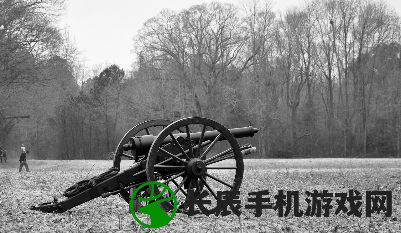 (三国志霸王大陆武器攻略)三国志霸王大陆，历史与策略交融的世界