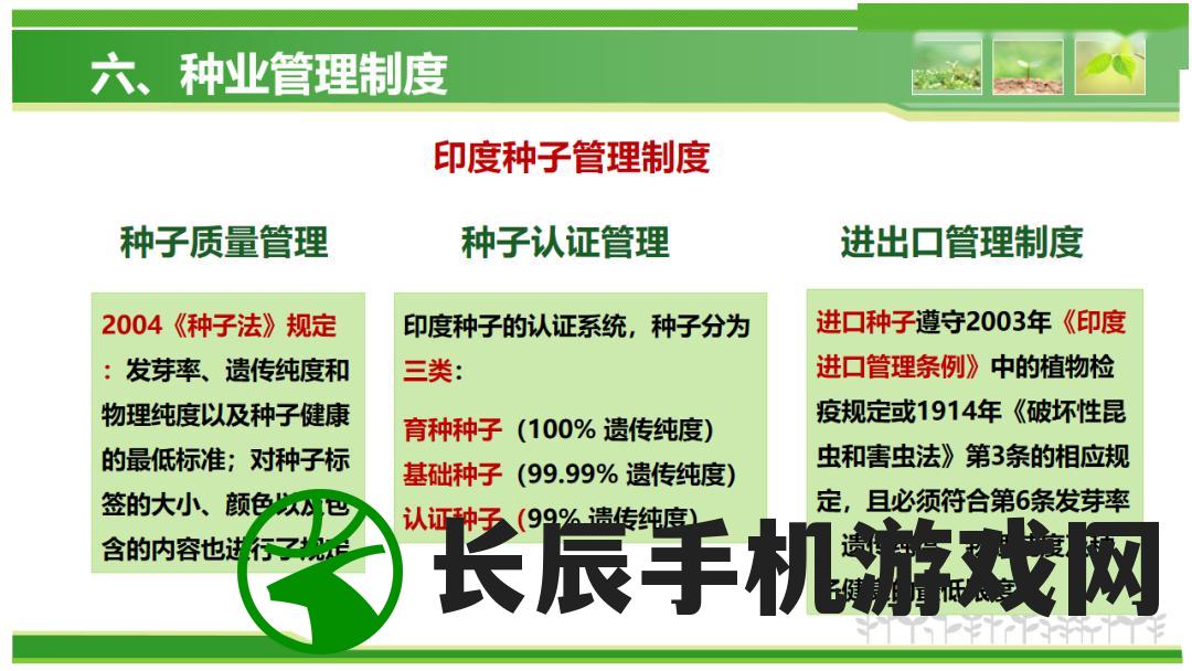 (新奥六开彩开奖结果2020)2024新奥历史开奖记录28期|实证分析解释落实_潜能款.6.32