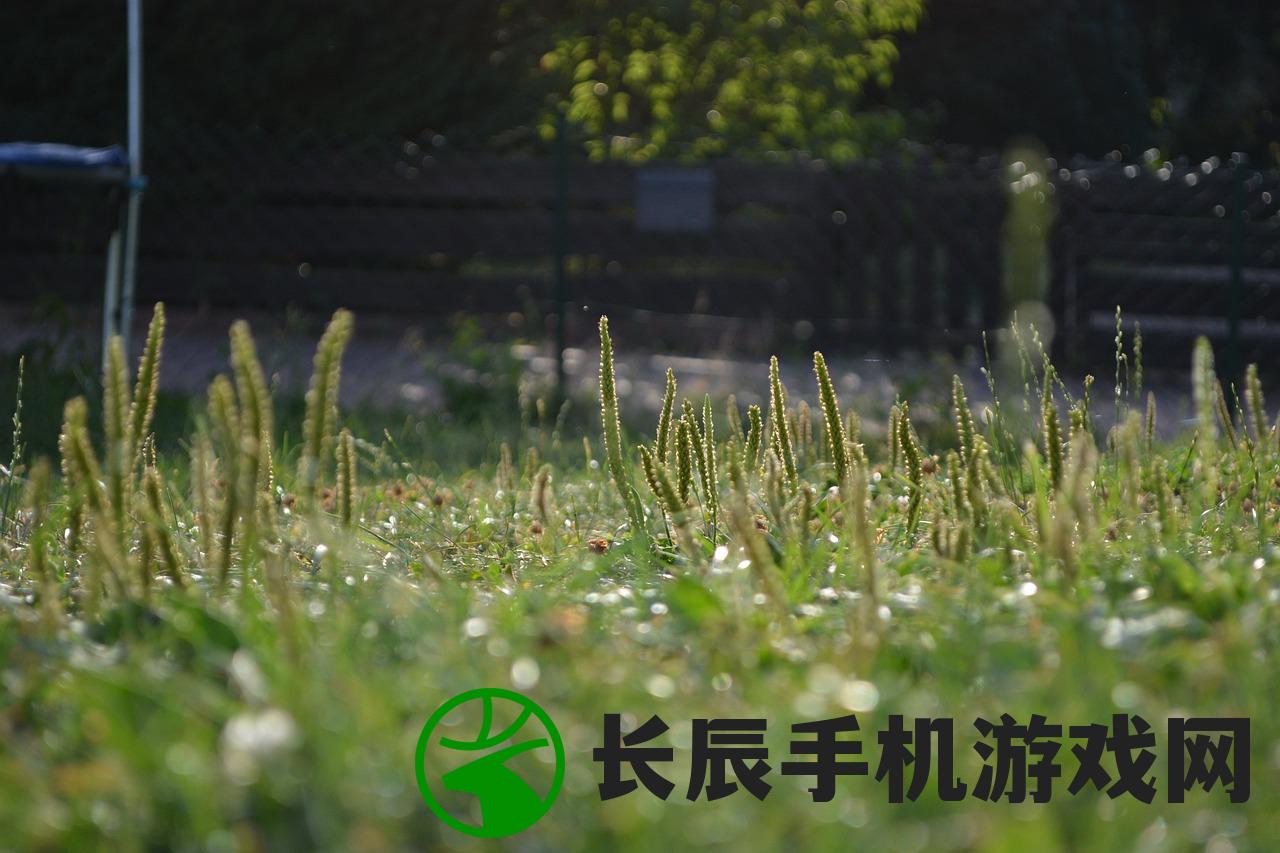 (夏日 乡间生活)夏日乡间生活游戏攻略：探索乡村的乐趣并享受暑假时光